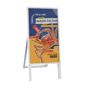 Full Color E-paper Signage Display FCS315V